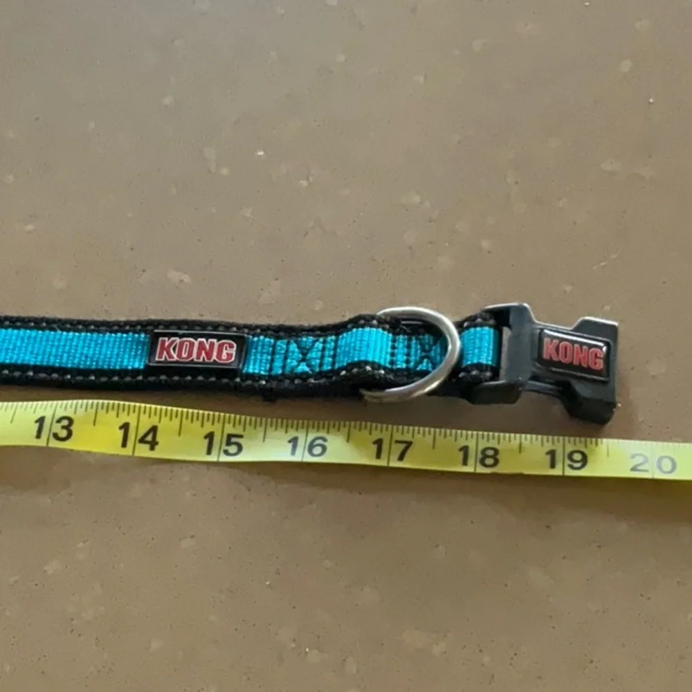 Kong medium dog collar
